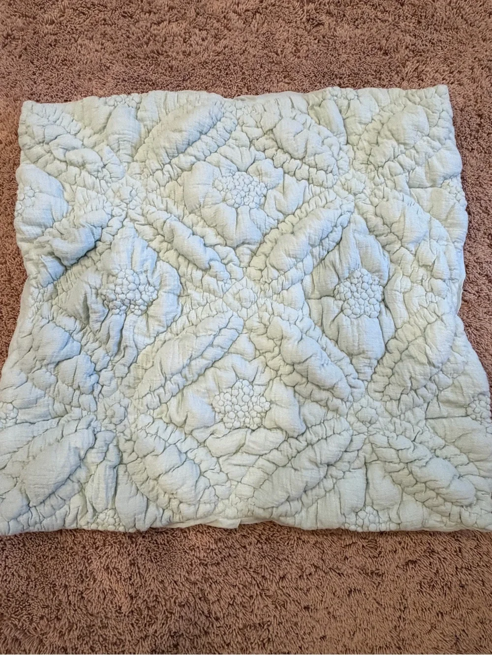 New Anthropologie everly cotton floral euro sham textured mint green blue cover